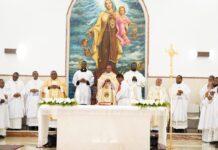 Diócesis Stella Maris celebra su primera ordenación sacerdotal, en su camino pastoral