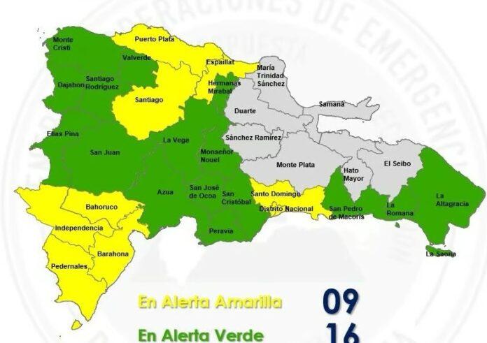 COE-MAS-AMARILLAS-1