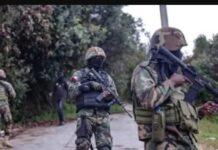 Reportaje- Crece incertidumbre por salvadoreños desaparecidos en Haití; jefes de bandas desafían a Bukele
