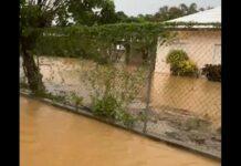 Reportan 42 viviendas y un puente afectados por las inundaciones