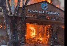 Protestan pequeños comerciantes que les quemaron sus casetas en Boca Chica
